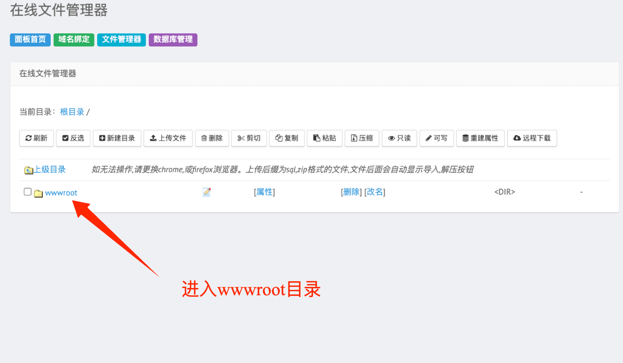 进入wwwroot目录 进入wwwroot目录